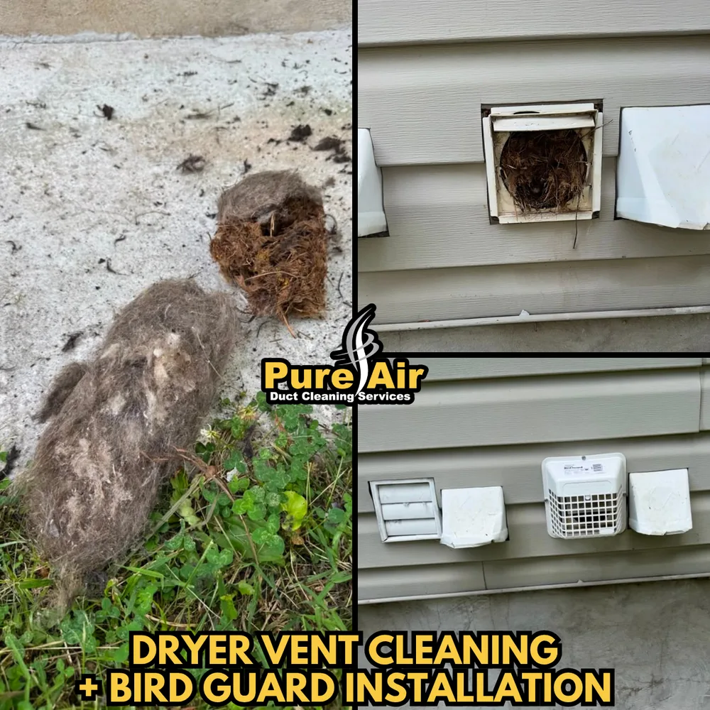 Dryer vent cleaning and bird guard installation on an exterior wall, with a bird nest removed